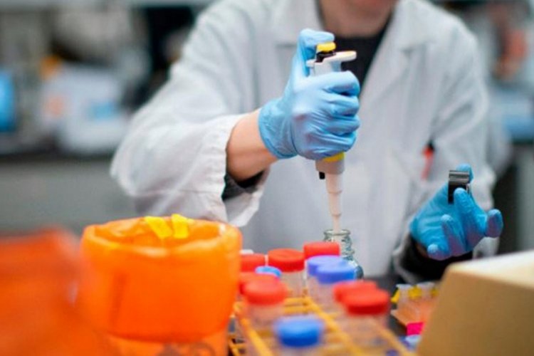 Laboratuvarda farenin ısırdığı bilim insanının koronavir&uuml;s testi pozitif &ccedil;ıktı