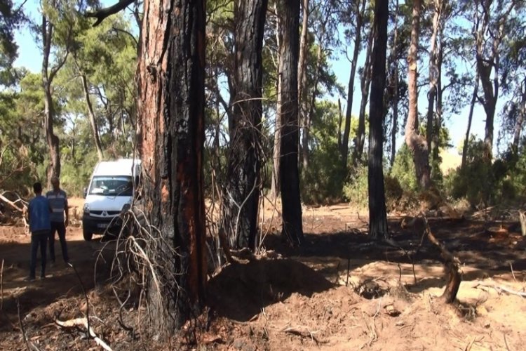 Antalya Sorgun ormanında 3 yeri ateşe veren sanık: Isınmak i&ccedil;in ateş yaktım
