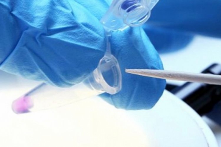 25 yıllık cinayet DNA eşleşmesiyle &ccedil;&ouml;z&uuml;ld&uuml;