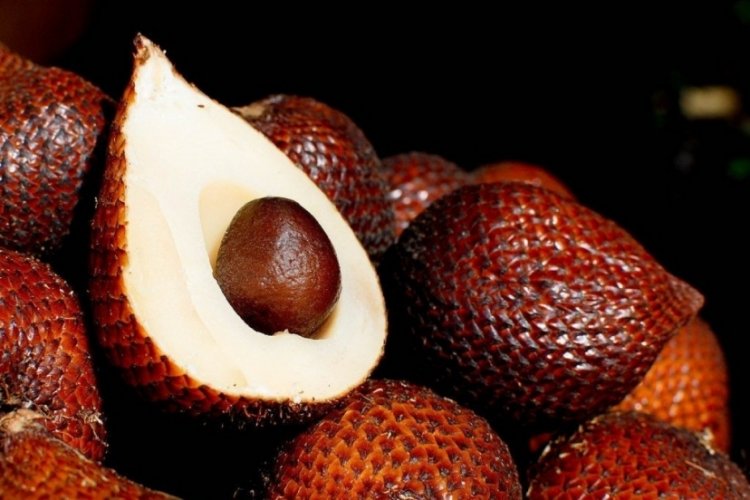 Hem adıyla hem faydalarıyla şaşırtan meyve: Salak Pondoh