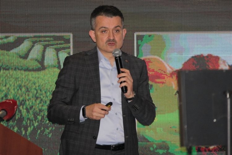 Pakdemirli: Bir&ccedil;ok gelişmiş &uuml;lkenin aylarca s&ouml;nd&uuml;remediği yangını s&ouml;nd&uuml;rd&uuml;k