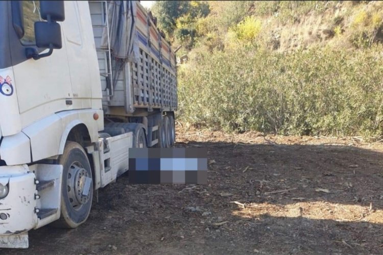 Adana'da odun y&uuml;klerken kamyondan d&uuml;şerek &ouml;ld&uuml;