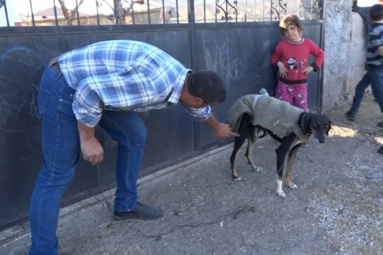 K&ouml;pek y&uuml;z&uuml;nden t&uuml;fek, taş ve sopalar konuştu: 3 yaralı
