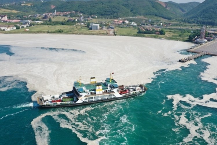 Uzmandan Bursa Mudanya'da a&ccedil;ıklama: Marmara Denizi'ni felaket bekliyor!