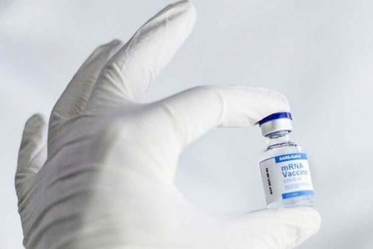 Bilim insanları: Aşının uygulanma saati, antikor seviyesini etkiliyor
