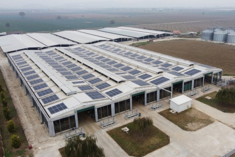 CW Enerji &ccedil;iftlikleri g&uuml;neş enerji santrali ile buluşturuyor