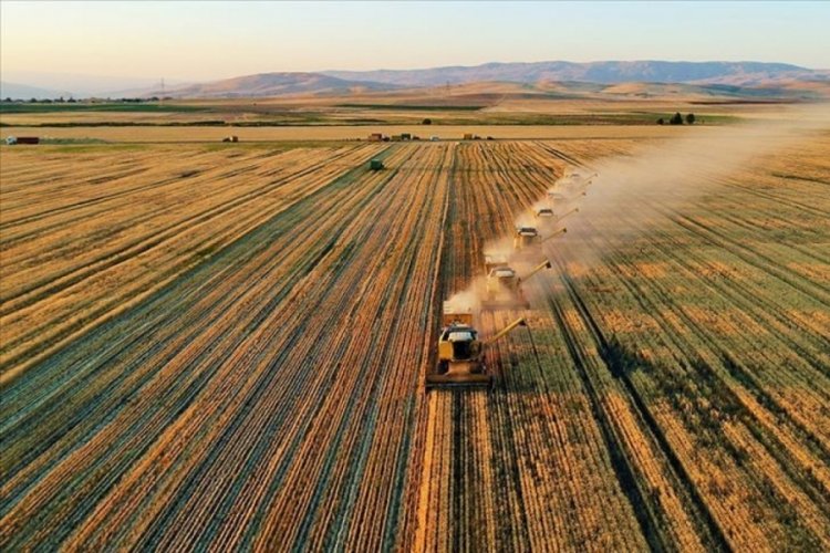 Tarım &Uuml;FE kasımda y&uuml;zde 4,57 arttı