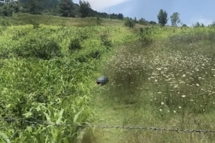 K&ouml;peğe cinsel saldırıda bulunan sanık: &Uuml;zerine d&uuml;şt&uuml;m, iktidarsızım