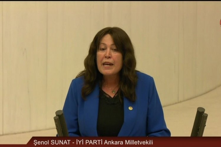 İyi Parti Milletvekili Sunat'tan Oktay'a: Sayın FO