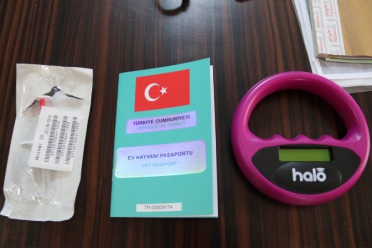Bu k&ouml;pek ırklarına sahip olanlar dikkat