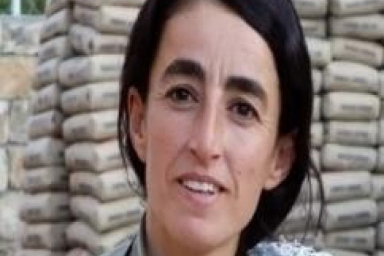 Yeşil kategoride aranan ter&ouml;rist Mardin'de yakalandı