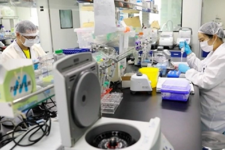 Bilim insanı Alina Chan: Korona, Vuhan'daki laboratuvardan yayıldı