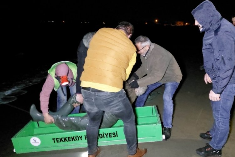Balık tutarken ayağına balık ağı dolanan yaşlı adam hayatını kaybetti