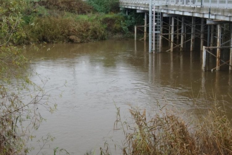 B&uuml;y&uuml;k Menderes Nehri, yağışlar ile canlandı