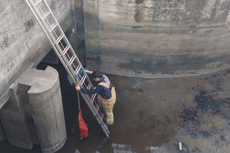 Bursa'da reg&uuml;lat&ouml;re d&uuml;şen kediyi kurtarma operasyonu