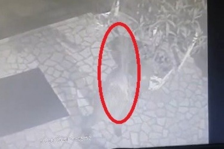 Bursa'da engelli k&ouml;peğin havlamasına kızıp sopayla d&ouml;vd&uuml;