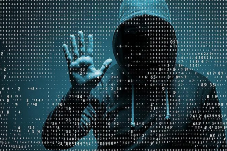 PKK'nın hacker grubu &uuml;yeleri, &ouml;rg&uuml;t&uuml;n siber saldırılarını anlattı