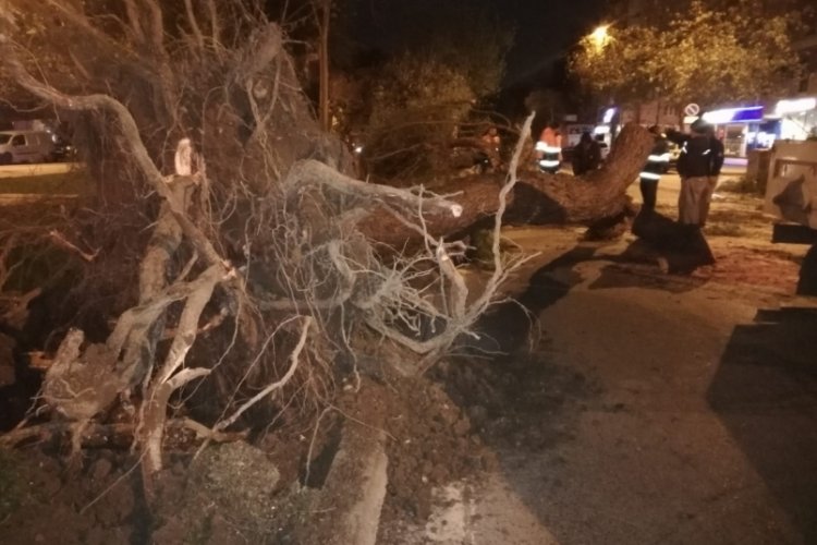 İzmir'de şiddetli fırtına şehri olumsuz etkiledi