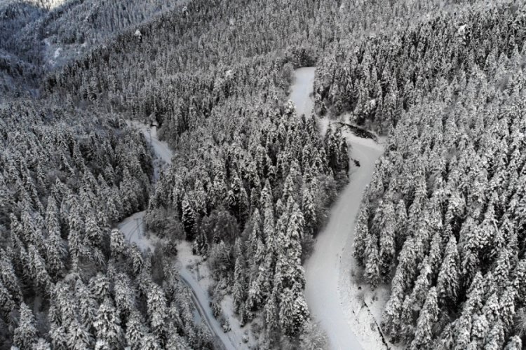 Bolu'da Yedig&ouml;ller yolu, kar yağışı nedeniyle ulaşıma kapatıldı