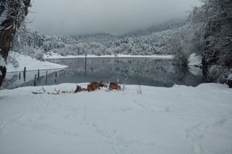 &Uuml;zerlerine ağa&ccedil; par&ccedil;ası d&uuml;şen 1 kişi &ouml;ld&uuml;, 1 kişi yaralandı