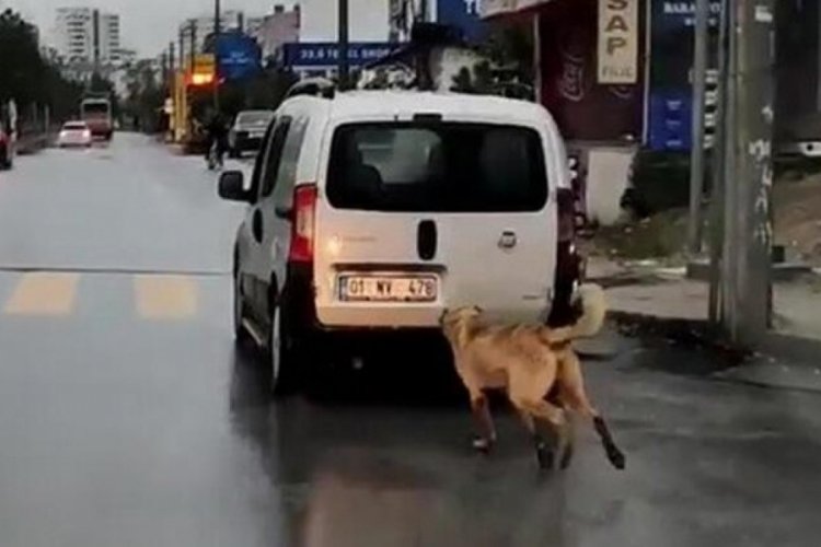 Mersin'de 'insanlık bu mu' dedirten g&ouml;r&uuml;nt&uuml;!