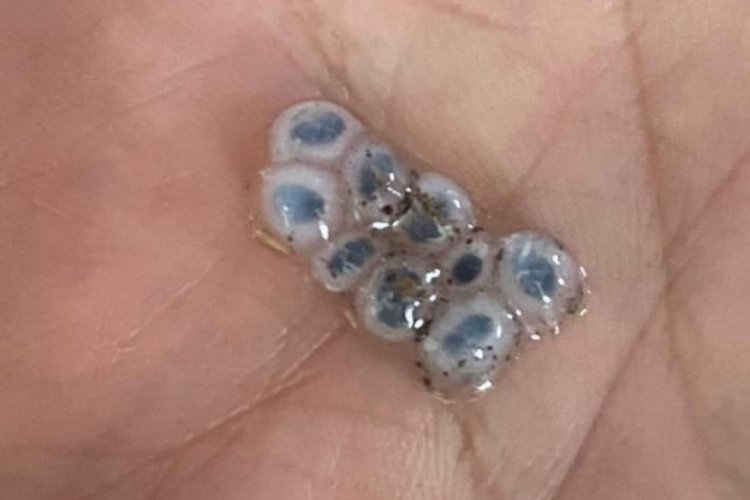 Nazar boncuğu şeklinde yağan dolu, g&ouml;renleri şaşırttı