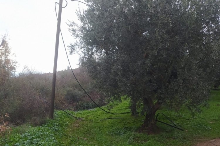 Bursa'da telefon ve elektrik tellerini &ccedil;alan hırsızlar jandarmaya yakalandı