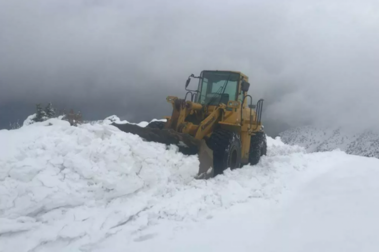 Doğum sancısı tutan kadına sağlık g&ouml;revlileri 7 saat sonra ulaştı