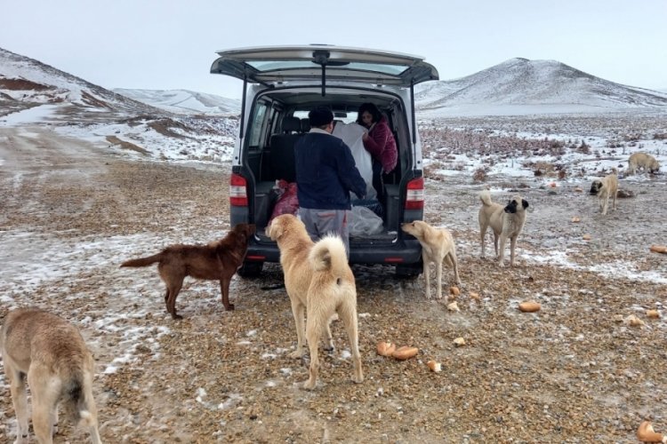 Aksaray'da karlı havada 60 kilometre gidip, k&ouml;pekleri besledi