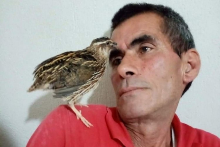 Mersin Mut'ta sahte i&ccedil;kiden &ouml;l&uuml; sayısı 2'ye y&uuml;kseldi