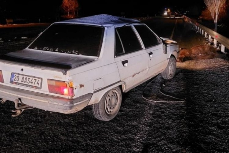 Otomobilin &ccedil;arptığı at telef oldu