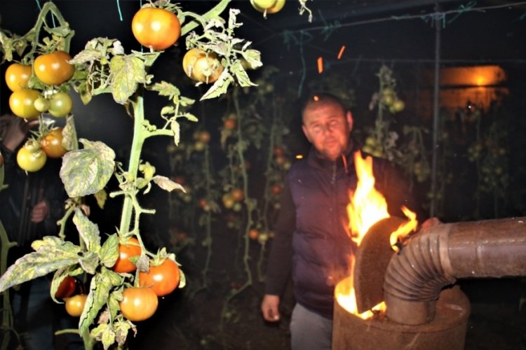 Seralarda zirai don n&ouml;beti başladı