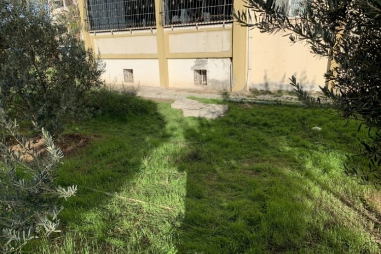 4 yaşındaki Alya'nın kahreden &ouml;l&uuml;m&uuml;
