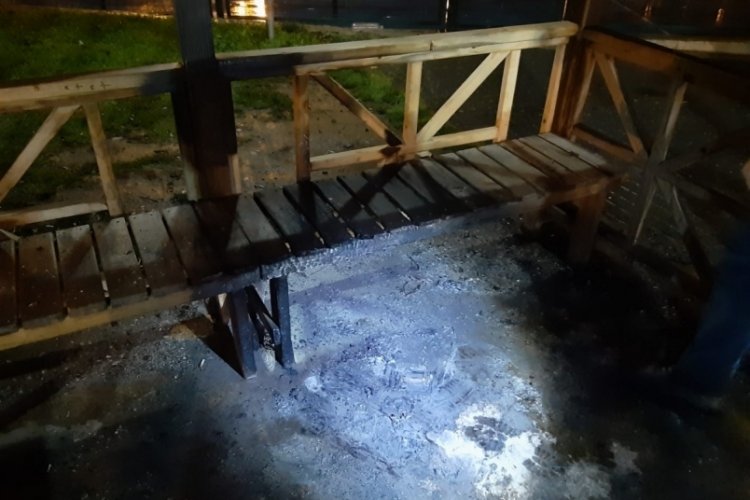 Bursa'da parktaki kamelyayı yaktılar