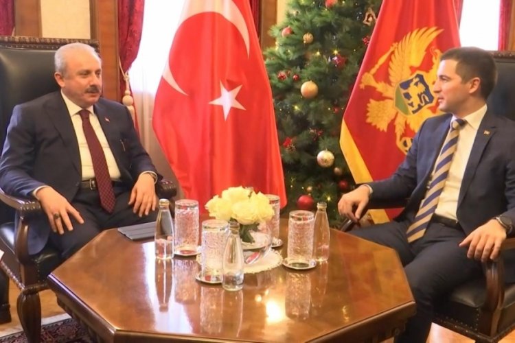 Mustafa Şentop, Karadağ Meclis Başkanı Be&ccedil;i&ccedil; ile bir araya geldi