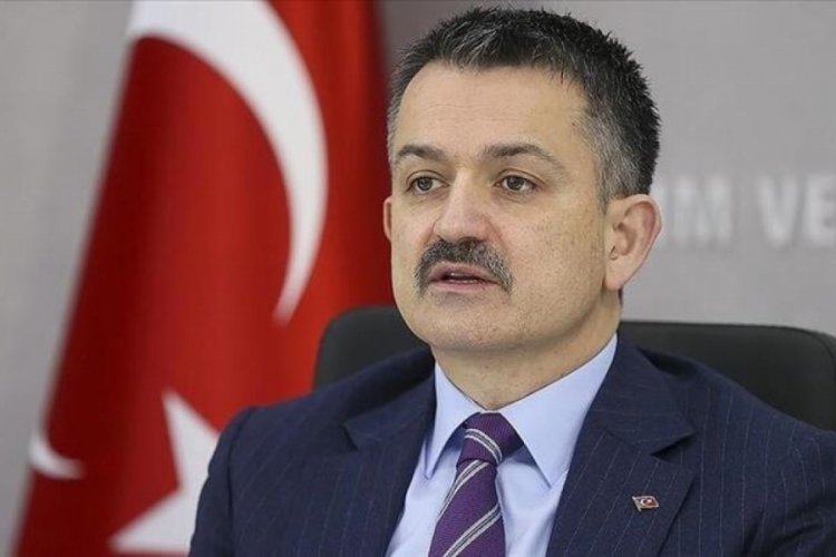 Bakan Bekir Pakdemirli duyurdu: 244 milyon liralık destekleme &ouml;demeleri başladı