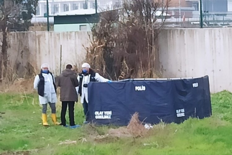 Bursa'da k&ouml;pekler tarafından par&ccedil;alanmış erkek cesedi bulundu