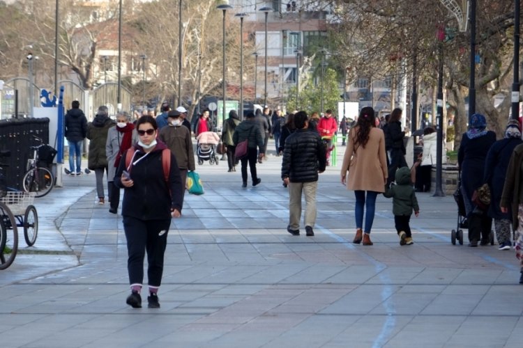 En fazla vaka g&ouml;r&uuml;len il &Ccedil;anakkale oldu