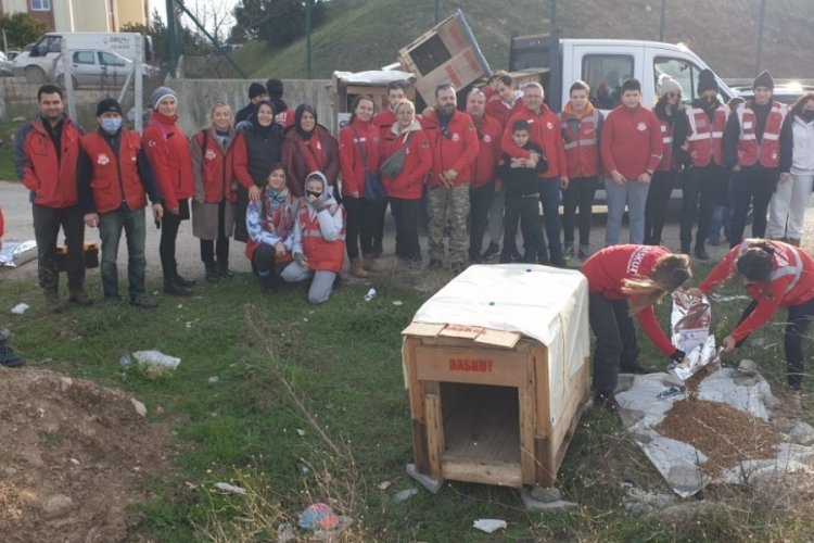 Bursa'da fabrika atıkları can dostlarına yuva oluyor