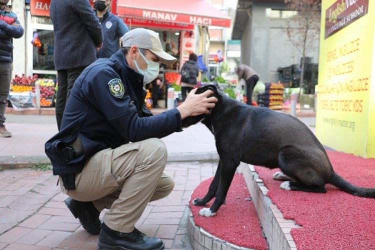 Sokaklarda 'yasaklı ırk' denetimi