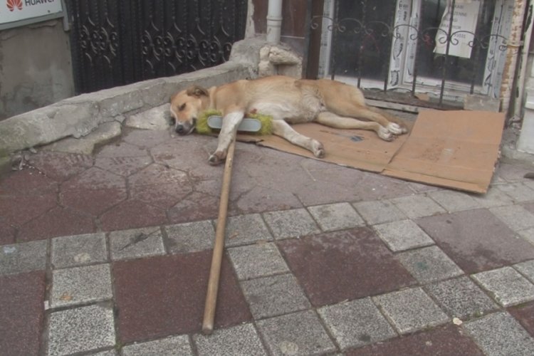 İstanbul'da temizlik iş&ccedil;isinin s&uuml;p&uuml;rgesini alıp ka&ccedil;tı