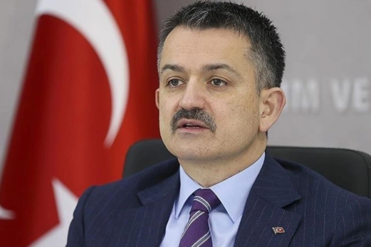 Bakan duyurdu! "613,6 milyon liralık destek &ouml;demesi hesaplara aktarılmaya başlandı"