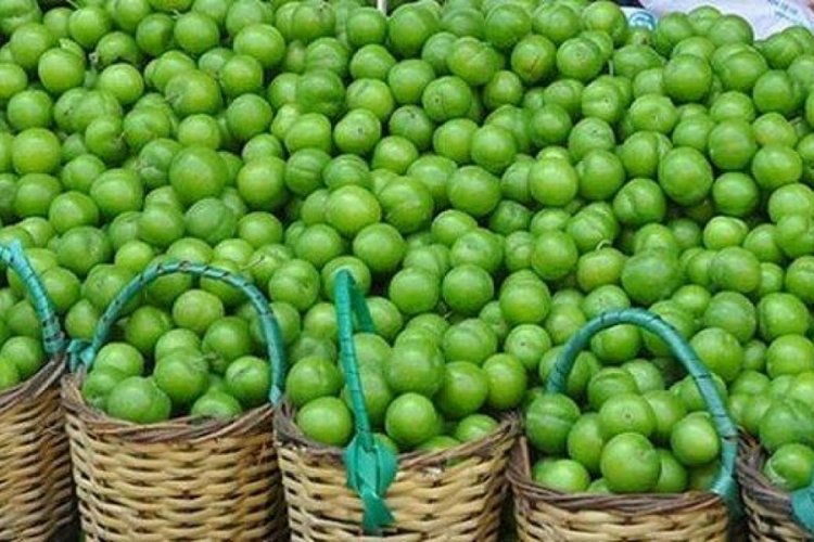 Balıkesir'de eriğin kilosu 1000 TL!