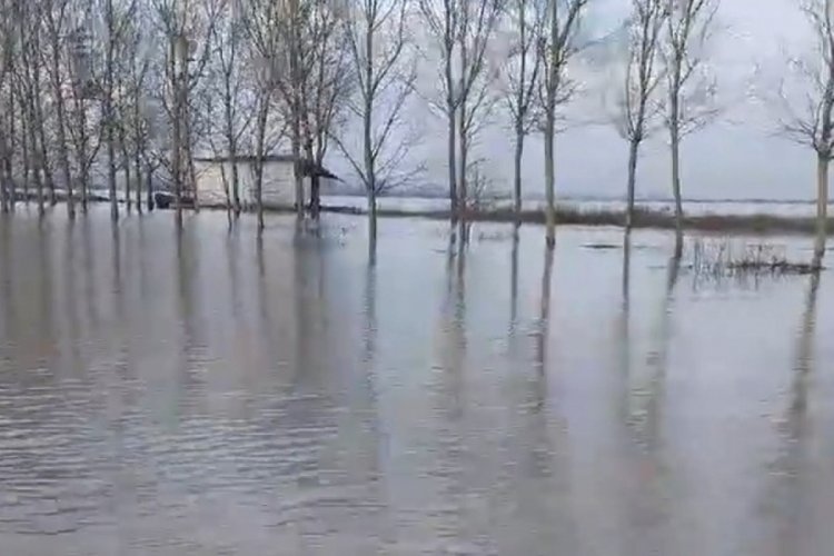 Edirne'de taşkın alarmı: K&ouml;y halkı kayıkla geziyor