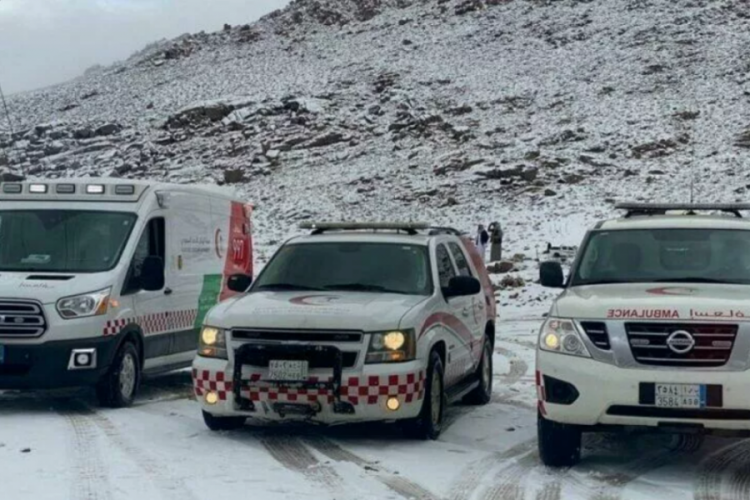 Suudi Arabistan'da kar sevinci