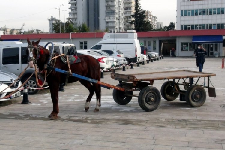 Adana'da at arabalı seyyar torbacılar yakalandı