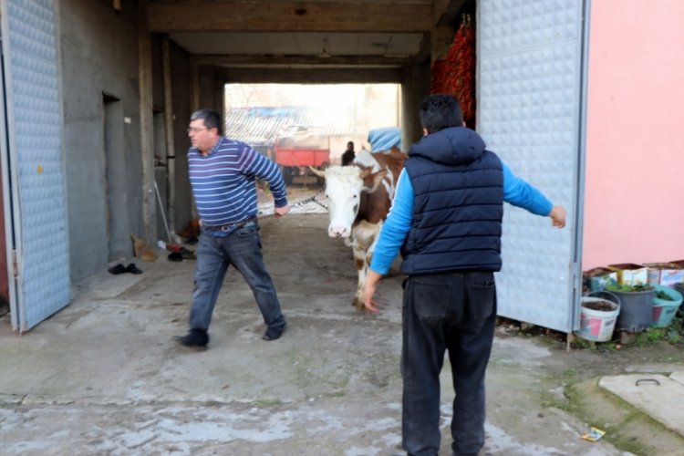 Edirne'de yangında ineklerini kurtarmak i&ccedil;in zamanla yarıştılar
