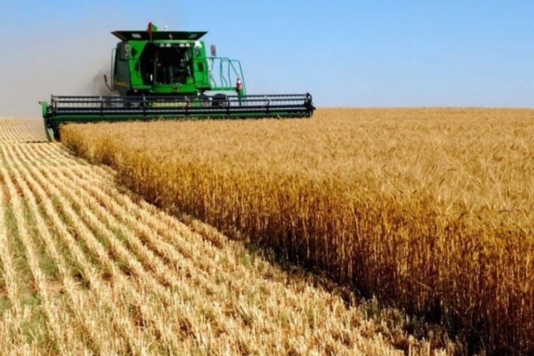 Tarım sekt&ouml;r&uuml; yılı rekorla kapattı