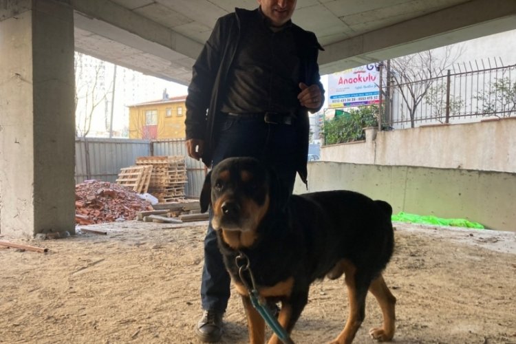 İstanbul Esenler'de 'Barut' sokakta ağzı ve ayakları bağlı halde bulundu 