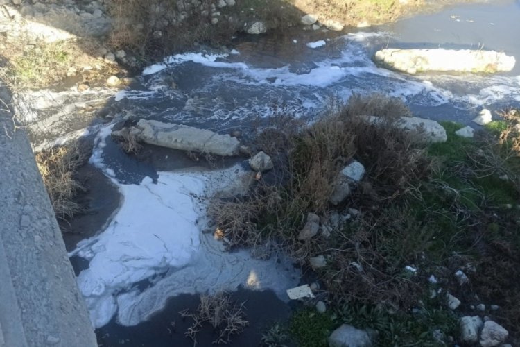 Amasya'da Terksakan &Ccedil;ayı'ndaki k&ouml;p&uuml;rmeye inceleme